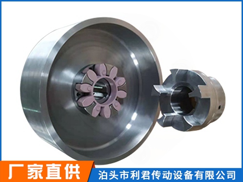 LXZ_XLL_帶制動輪星型聯(lián)軸器